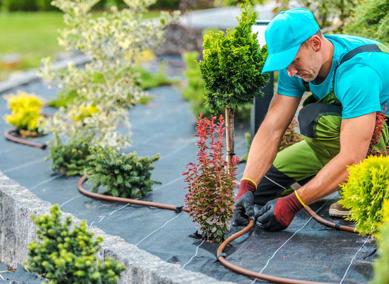 custom landscaping services in the area
