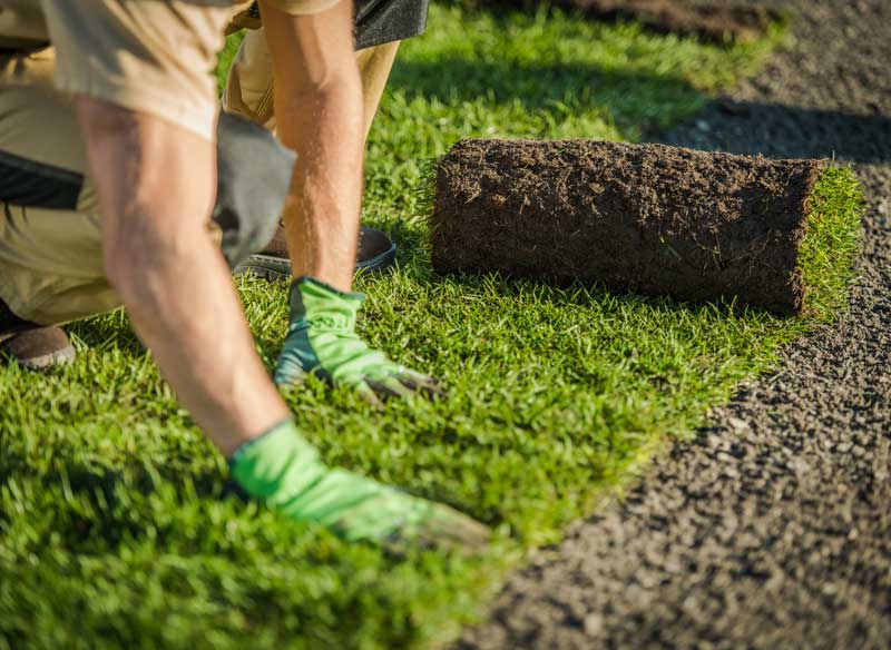landscaping services in Vancouver, WA - sod installation