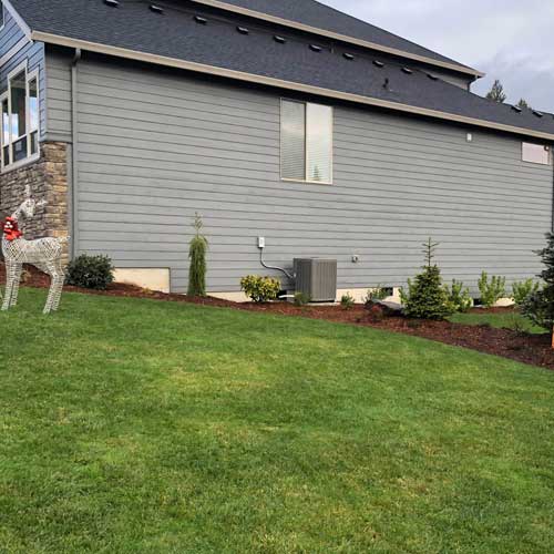 landscape installation services for backyard